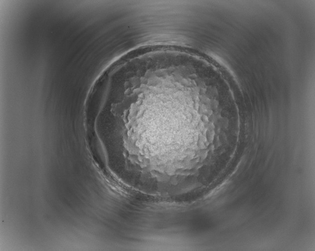 X0000069790925200605261653