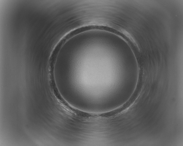 X0000069790926200605261653