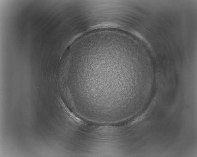 X0000069790929200605261653