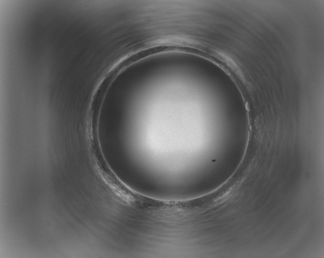 X0000069790931200605261653