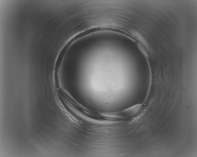 X0000069790932200605261653