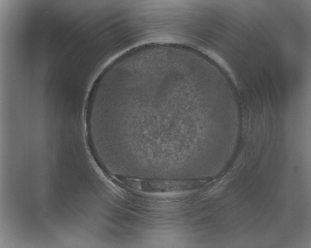 X0000069790935200605261653