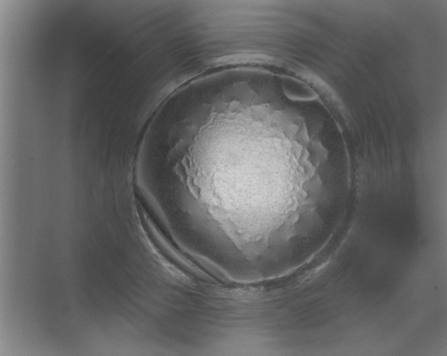 X0000069790937200605261653