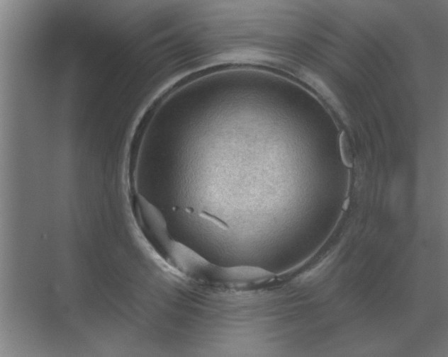 X0000069790939200605261653