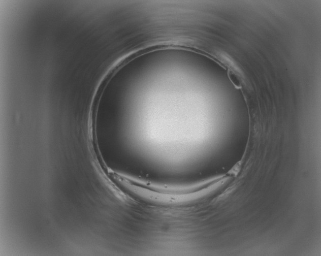 X0000069790940200605261653