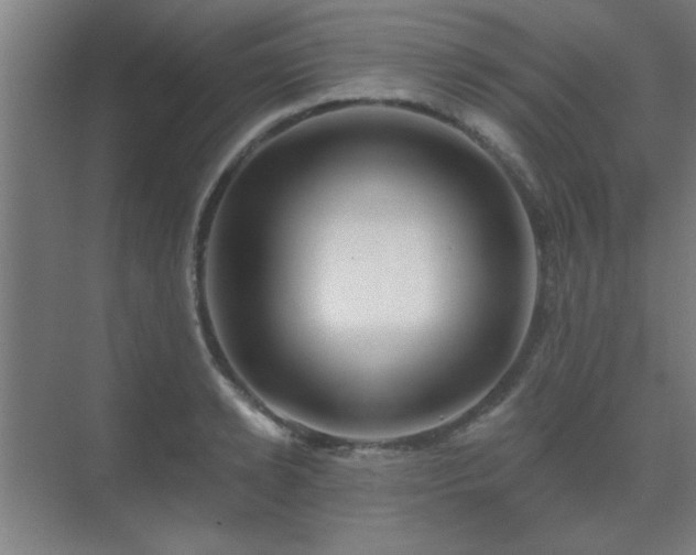 X0000069790942200605261653