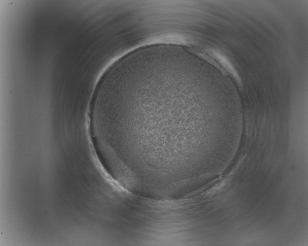 X0000069790944200605261653