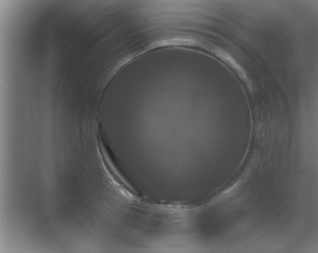 X0000069790945200605261653