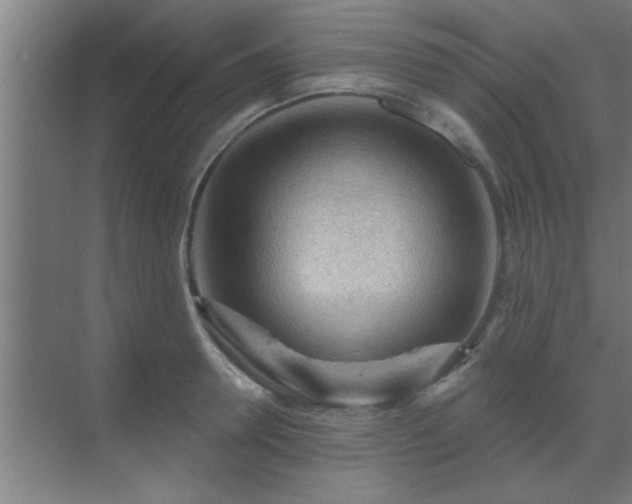 X0000069790946200605261653