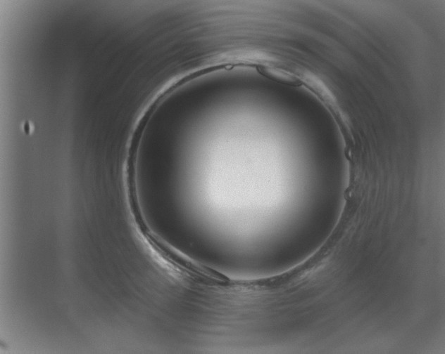 X0000069790947200605261653