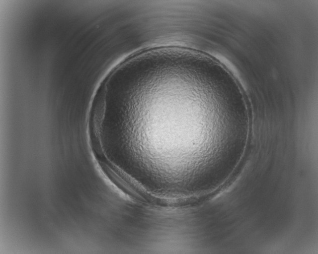 X0000069790949200605261653