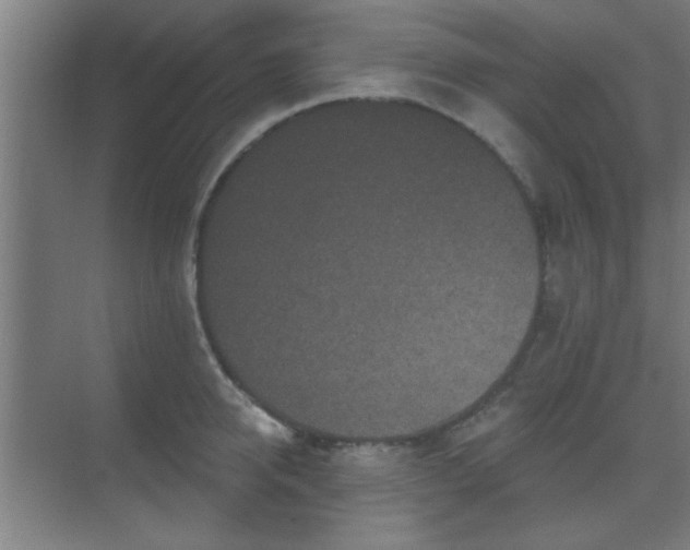 X0000069790950200605261653