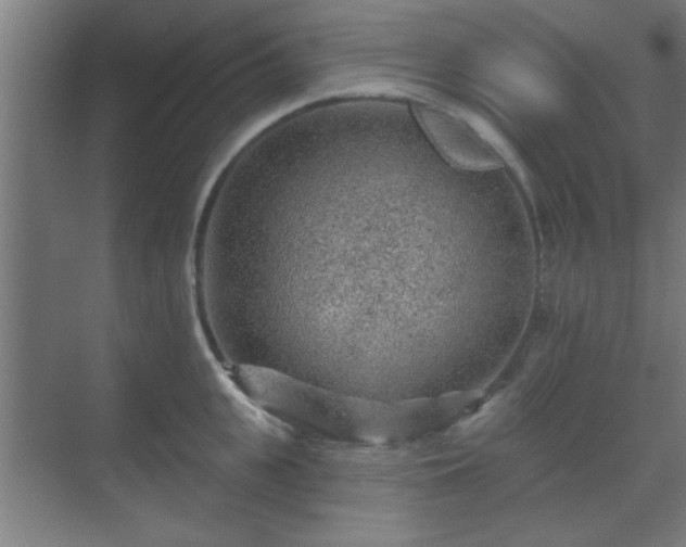 X0000069790951200605261653