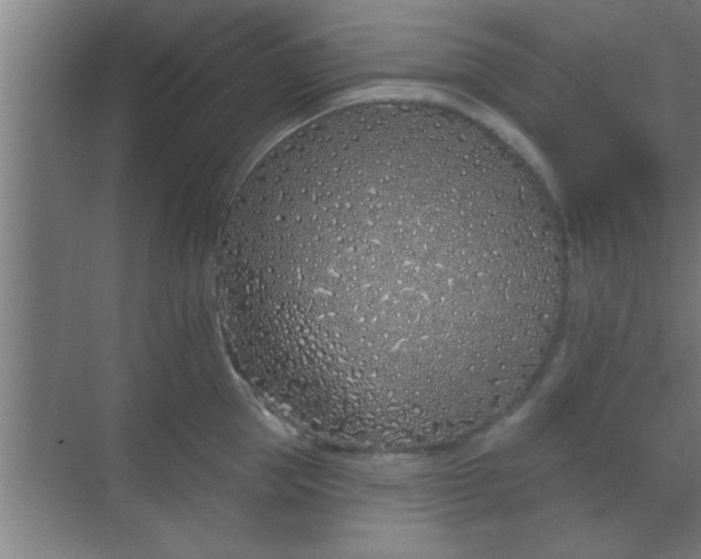 X0000069790953200605261653