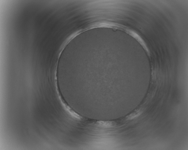 X0000069790954200605261653