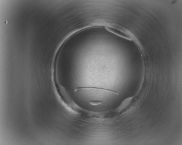 X0000069790955200605261653