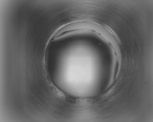 X0000069790956200605261653