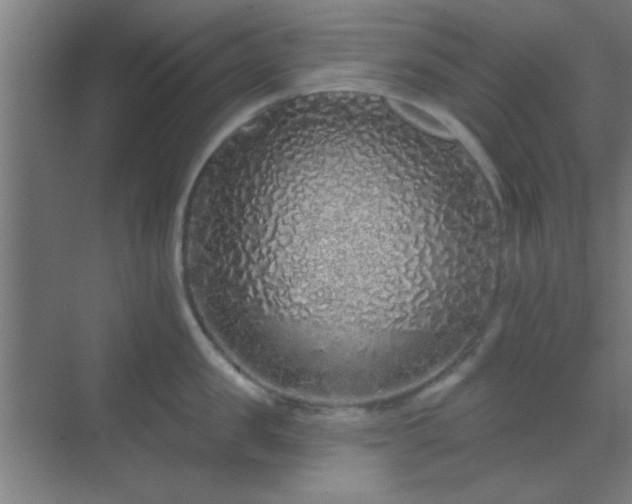 X0000069790957200605261653