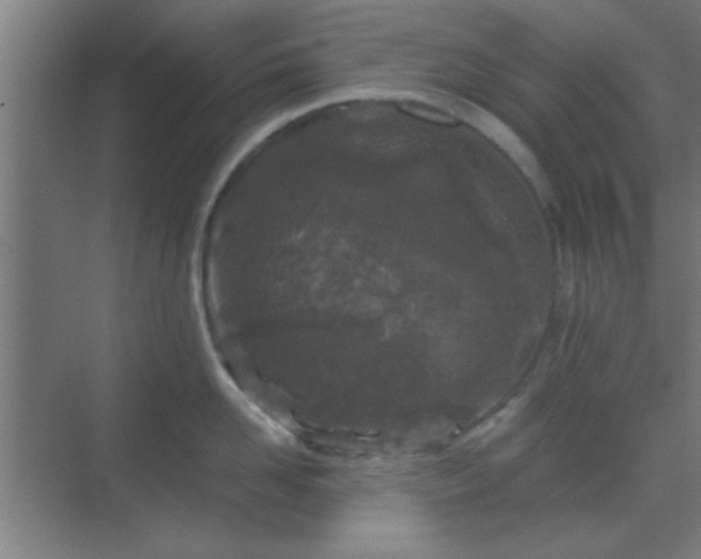 X0000069790958200605261653