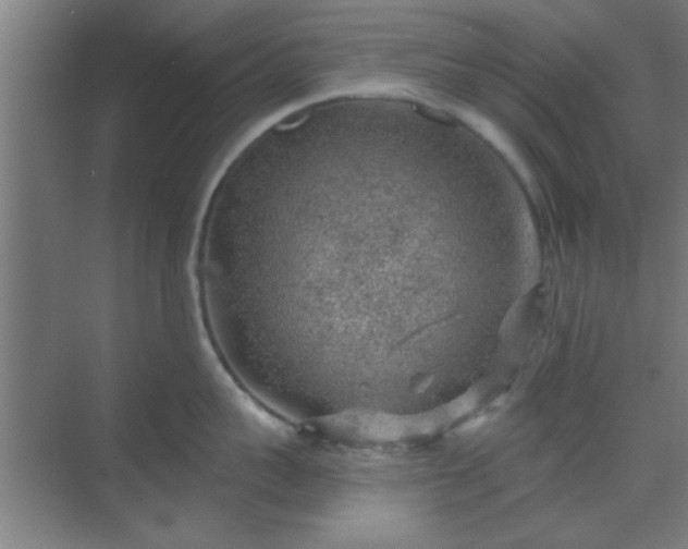 X0000069790959200605261653