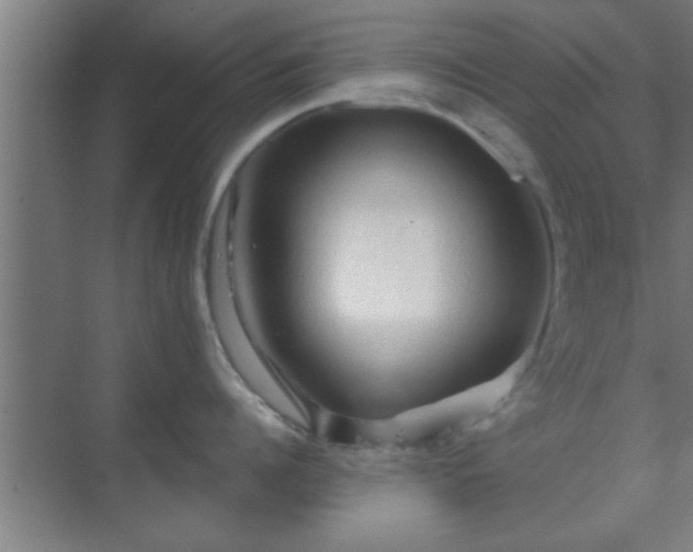 X0000069790960200605261653