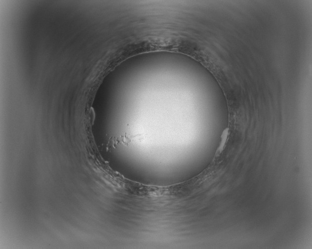 X0000069790961200605261652