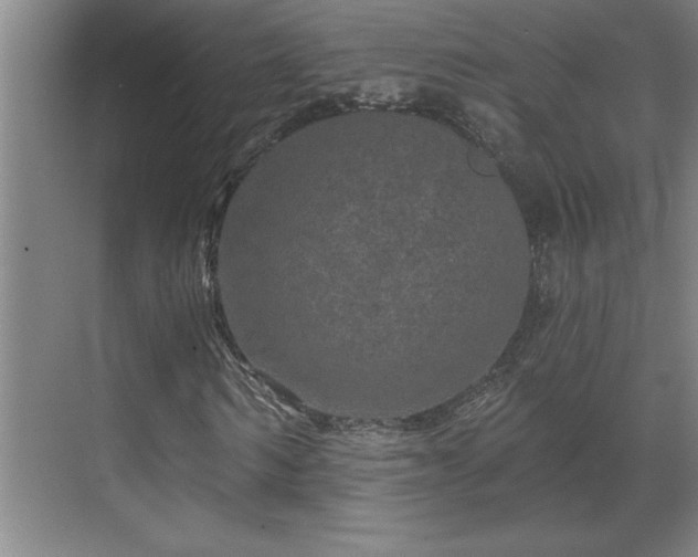 X0000069790962200605261652