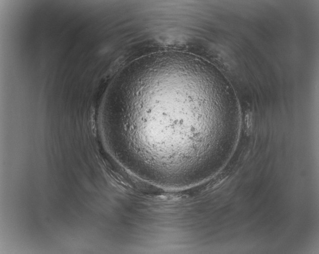 X0000069790963200605261652