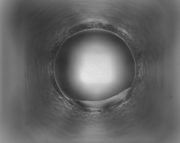 X0000069790965200605261652