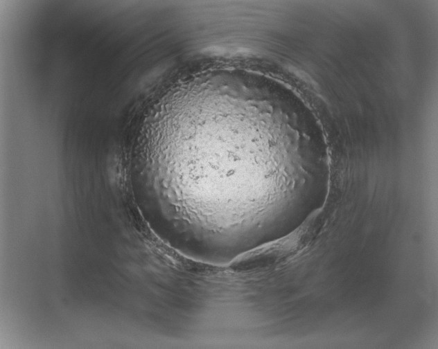 X0000069790966200605261652