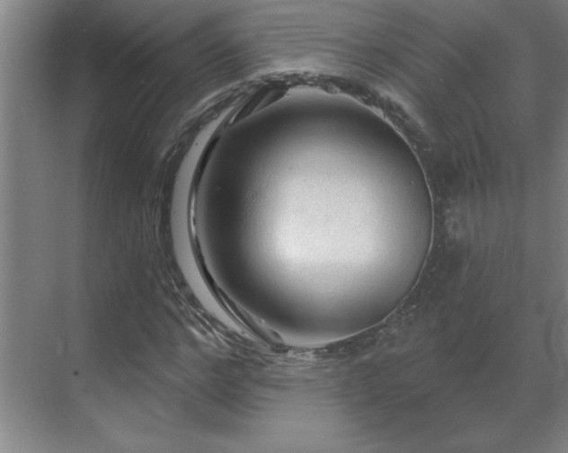 X0000069790968200605261652