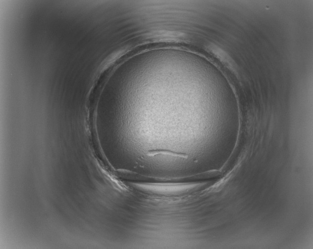 X0000069790970200605261652