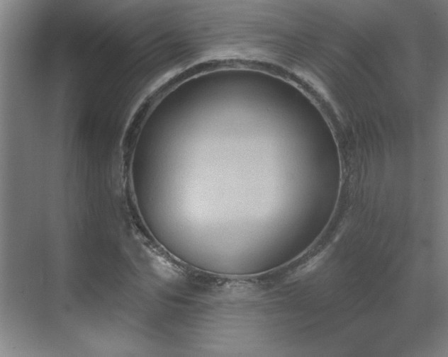 X0000069790974200605261652