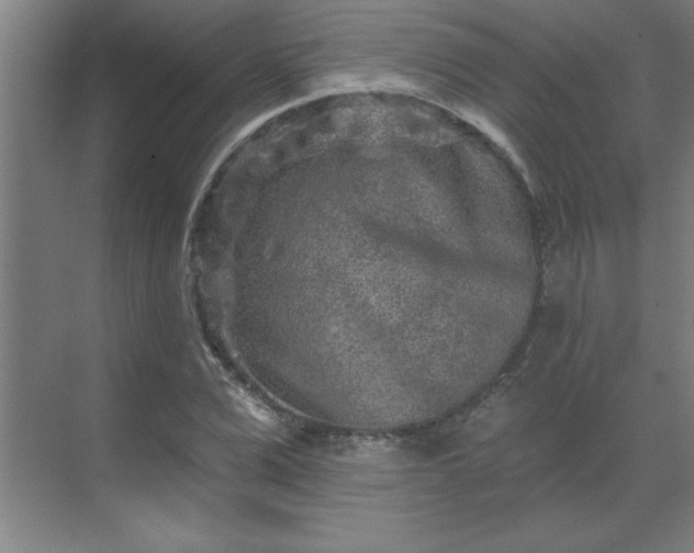 X0000069790975200605261652