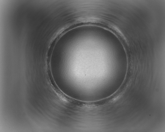 X0000069790978200605261652