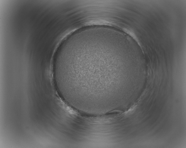 X0000069790979200605261652