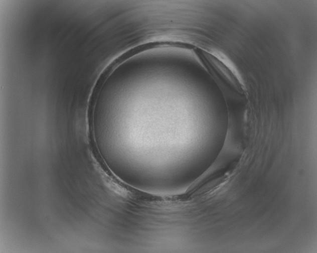 X0000069790980200605261652