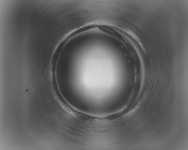 X0000069790981200605261652