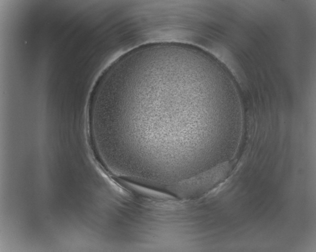 X0000069790982200605261652