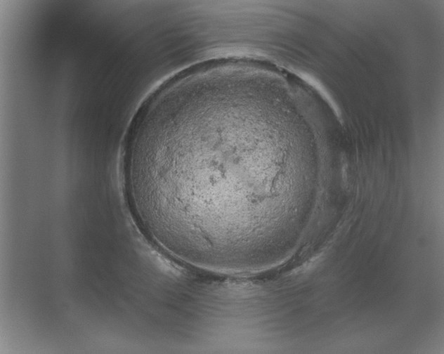 X0000069790983200605261652