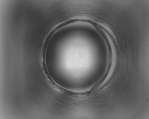 X0000069790984200605261652