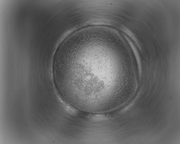 X0000069790986200605261652