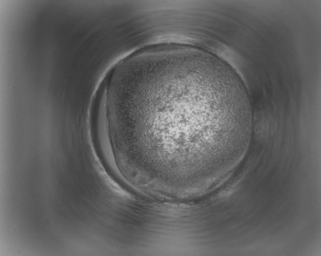 X0000069790987200605261652