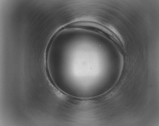 X0000069790988200605261652