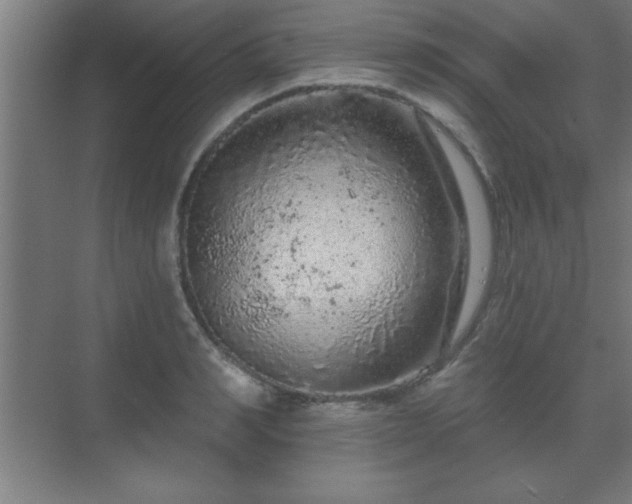 X0000069790990200605261652