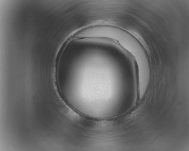 X0000069790992200605261652