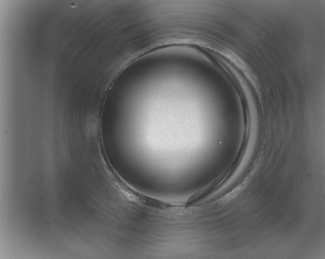 X0000069790993200605261652