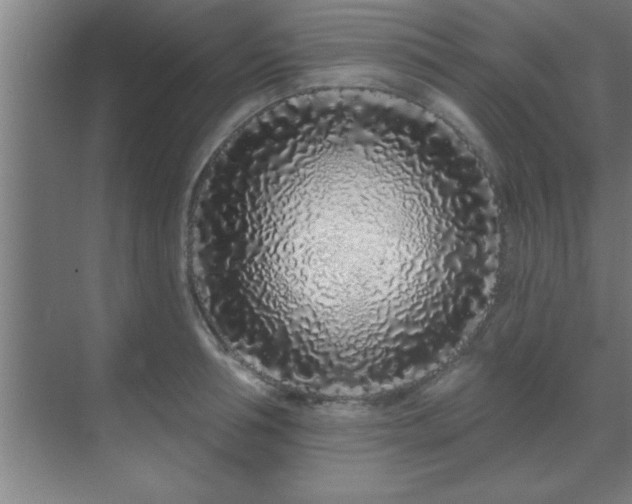 X0000069790994200605261652