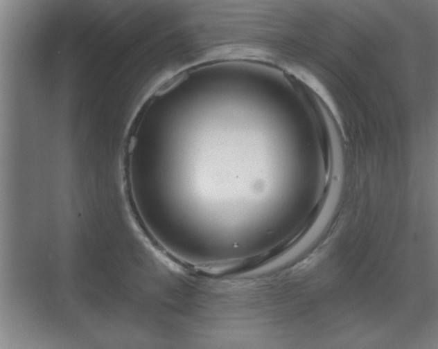 X0000069790997200605261652