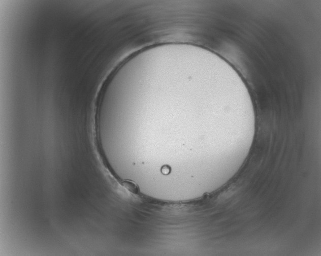 X0000069791000200605261652